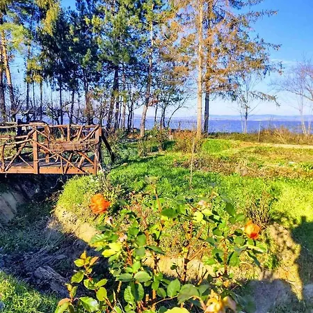 Dedinski Raj Vakantiehuis Golubac