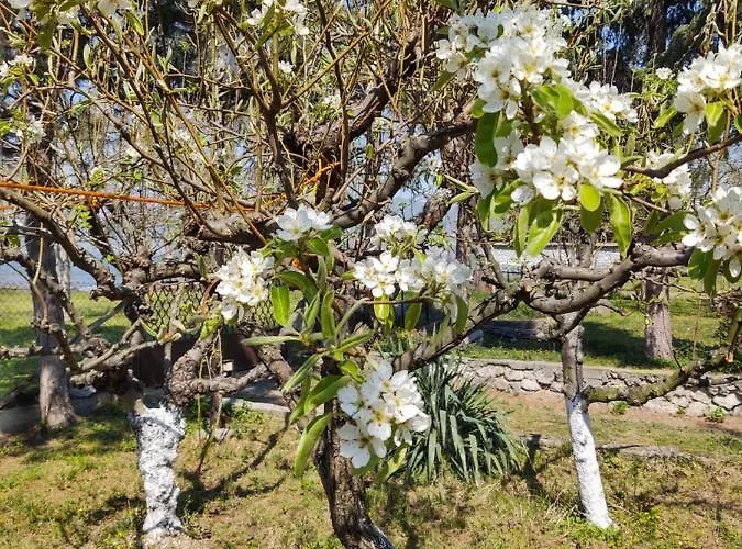 Case de vacanță Dedinski Raj *